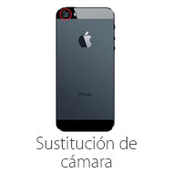 servicio de susticion de camara